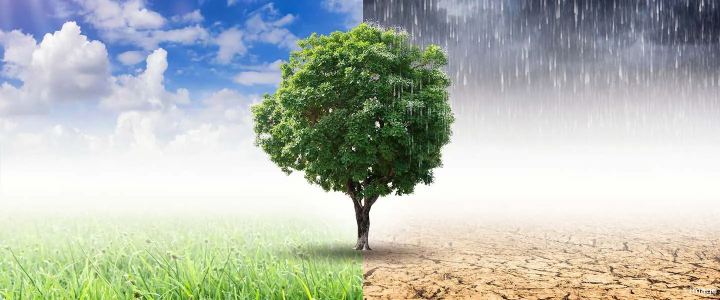 klimaat veranderingen