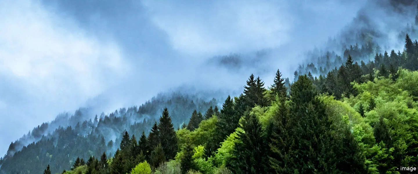 klimaatverandering pinterest