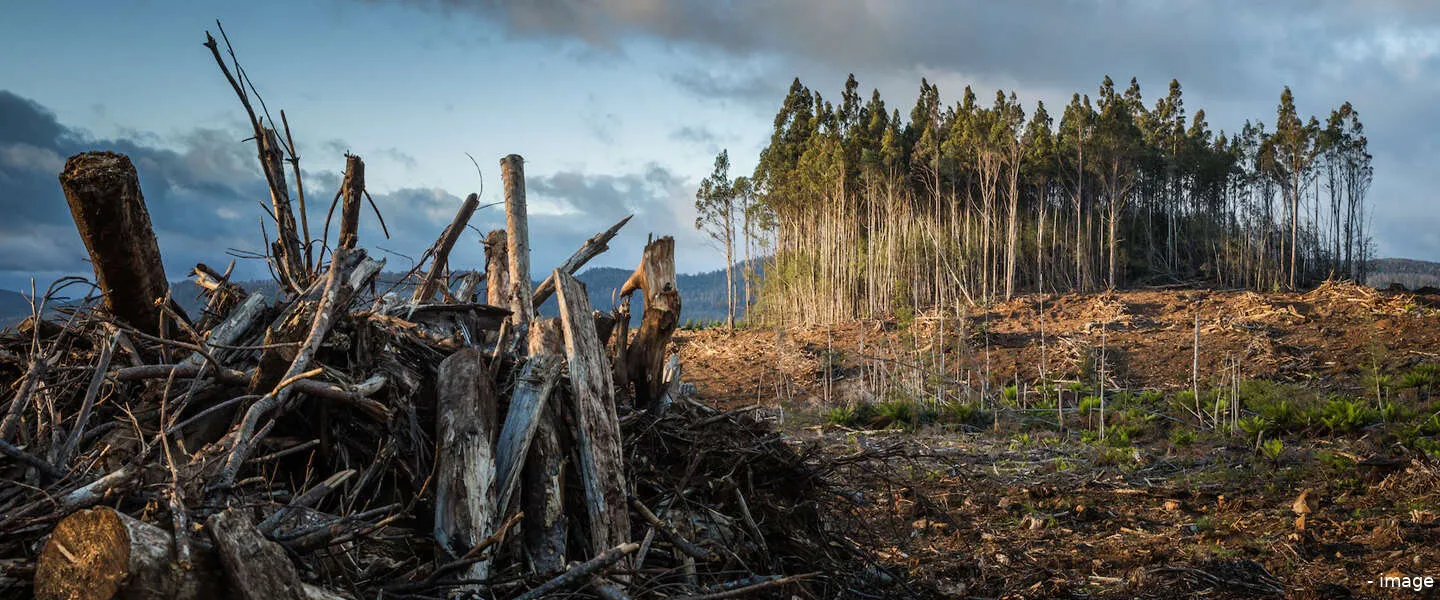 klimaatverandering tiwtter
