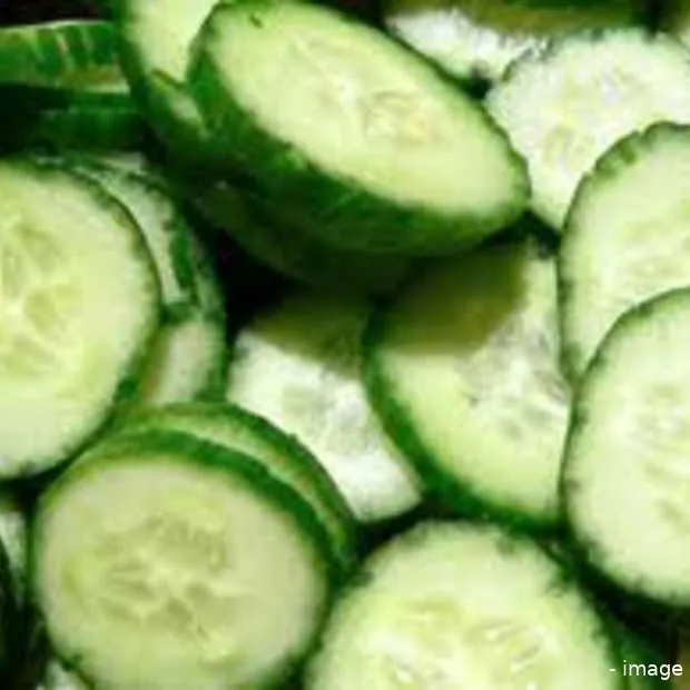 komkommertijd deel 2