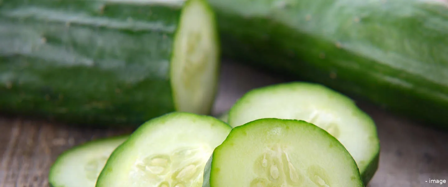 komkommertijd weetjes 10