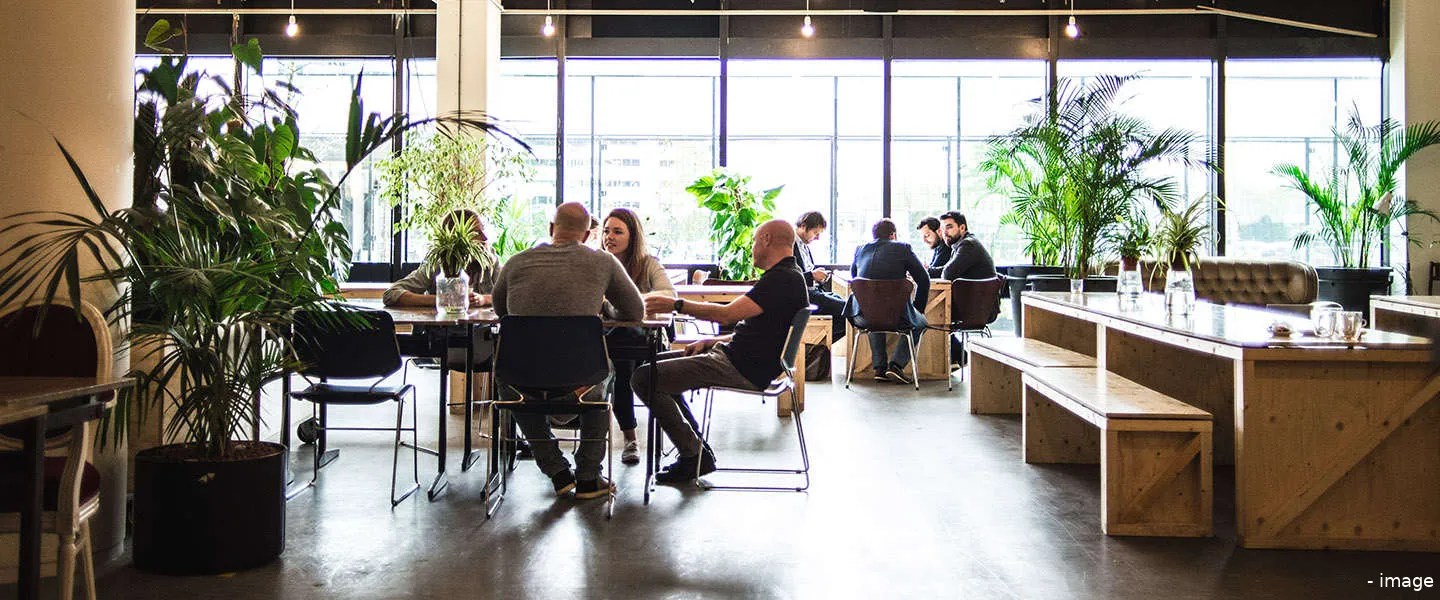 let it grow incubator