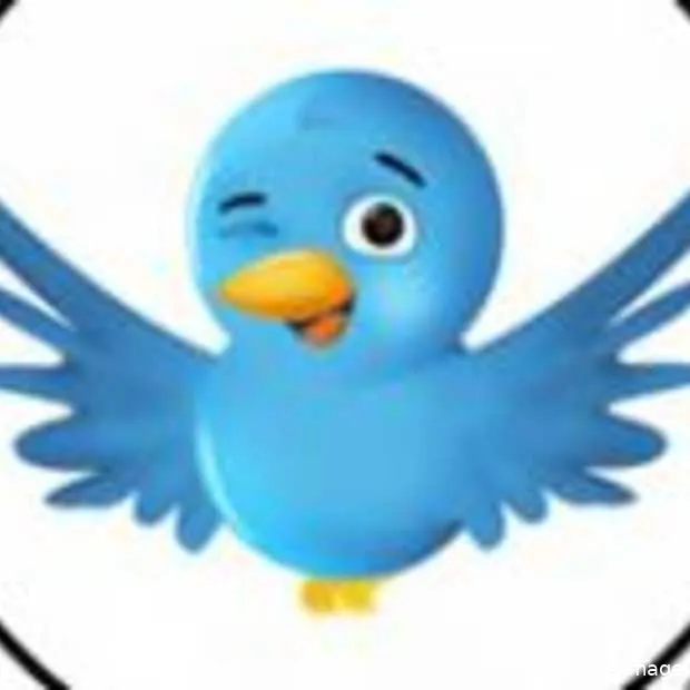 library of congress slaat het gehele twi