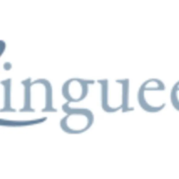 linguee menselijke vertalingen nu ook vo