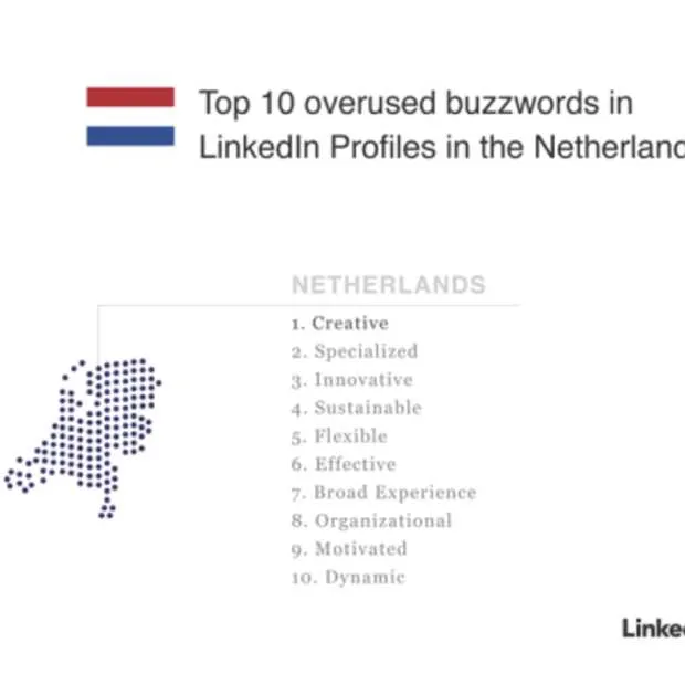 linkedin nederlandse professionals creat