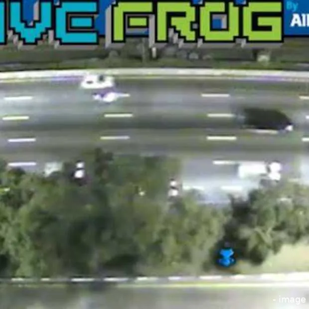 live frog facebook app