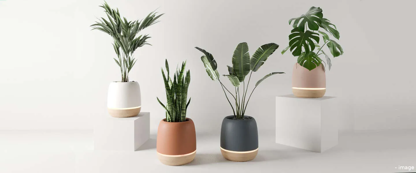 luchtreinigendeplantenpot