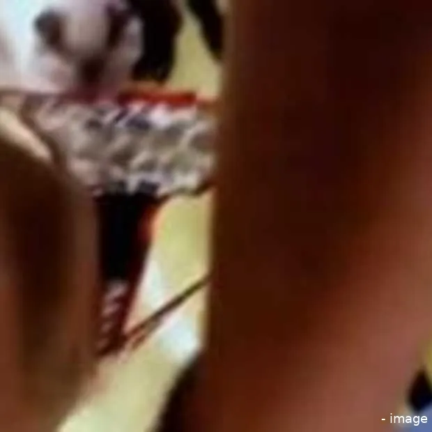 lullenzeep of ballenbadschuim