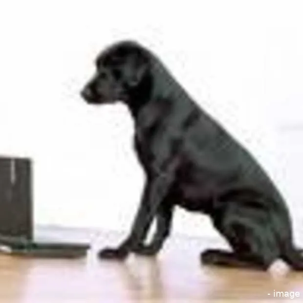 lycos europe over en uit