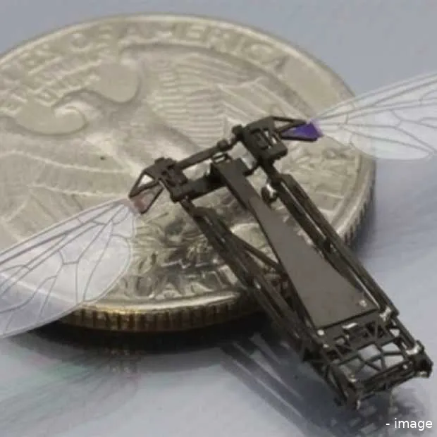 maak kennis met robo fly s werelds klein