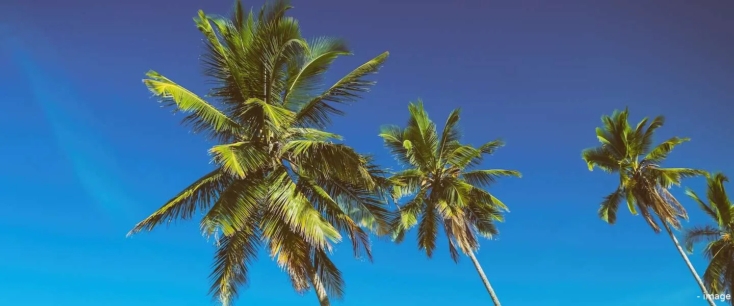 maatregelen vakantie