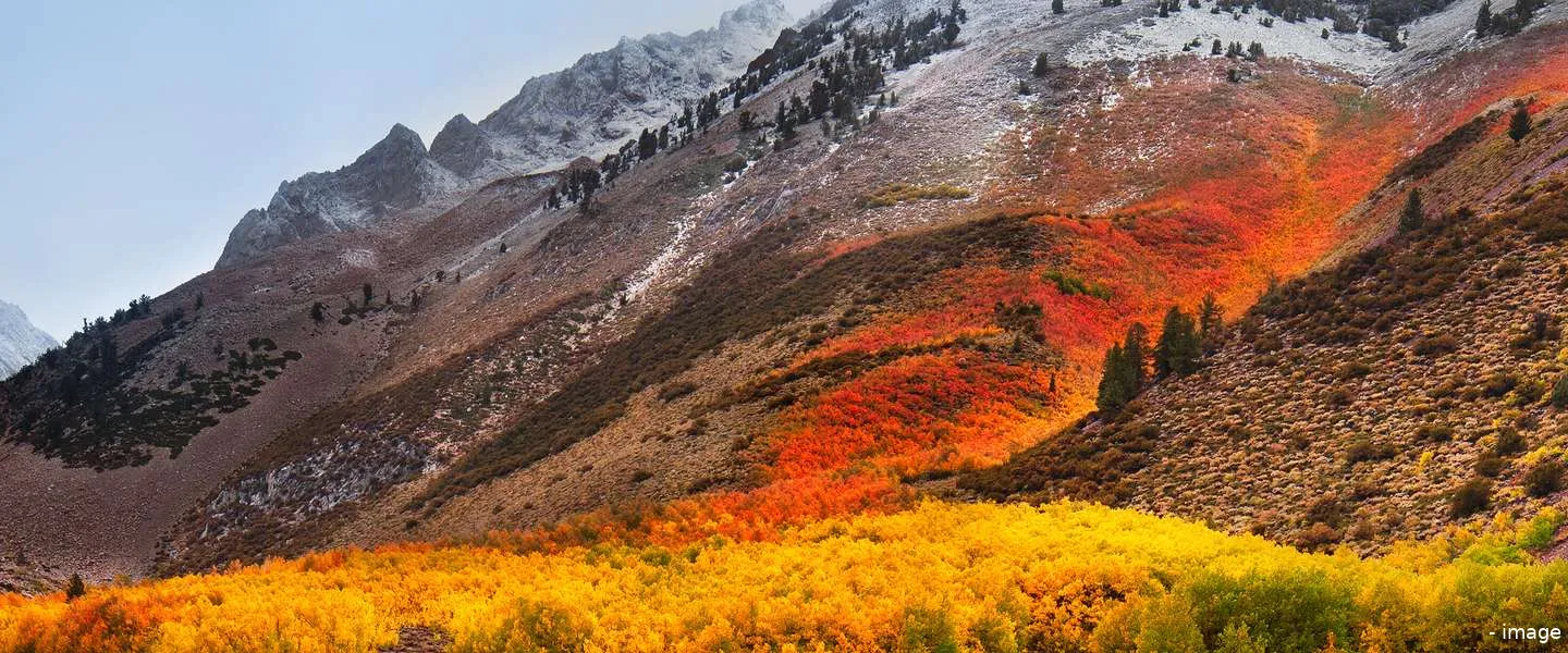 mac os high sierra bug