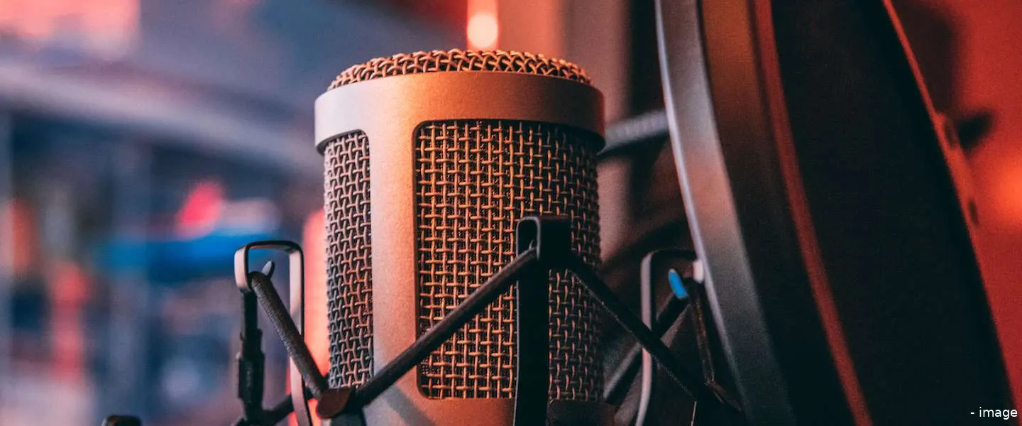 mannelijke stem google assistent