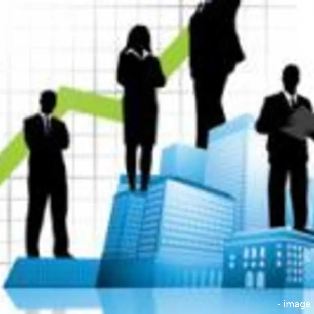 marktonderzoek affiliate marketing in ne