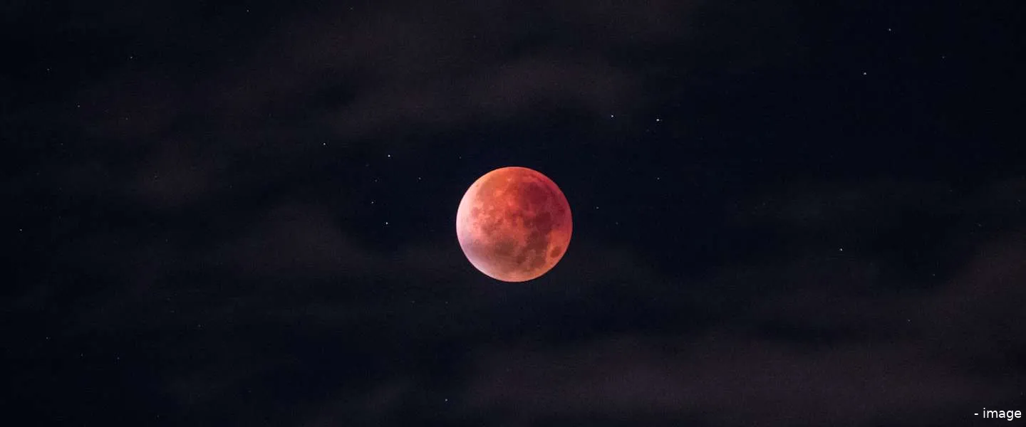 mars maan twitter elon musk