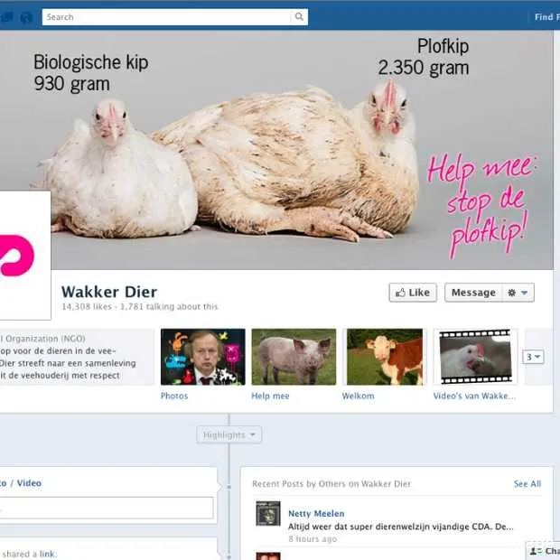 meeste nederlandse fanpagina s hebben mi