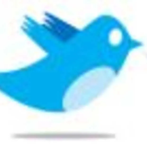 meeste volwassenen weten niet wat twitte