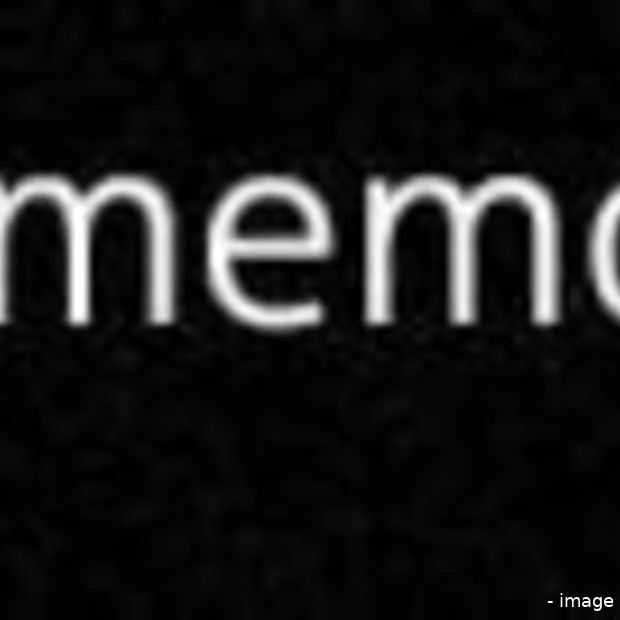 memolane je sociale tijdlijn in beeld