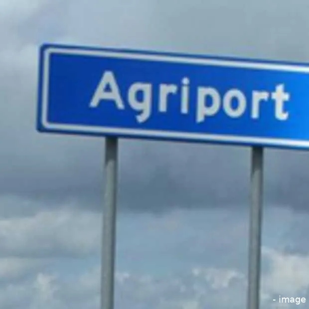 microsoft tussen de hollandse tuinders