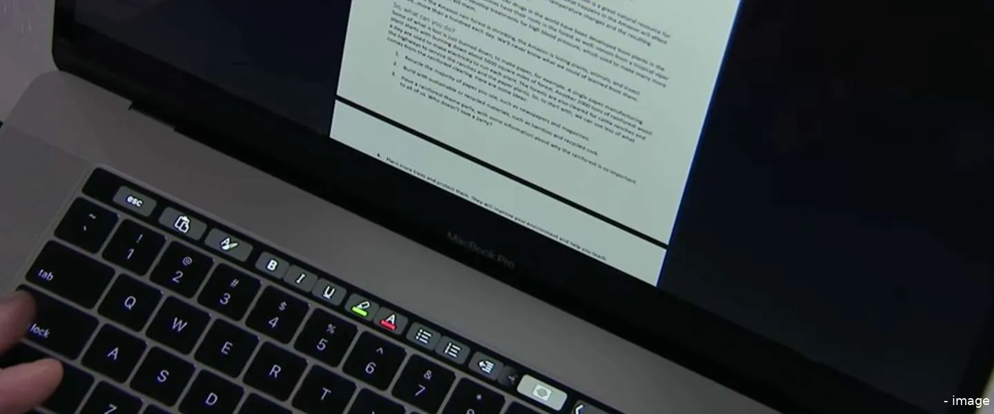 microsoft word mac vertaling