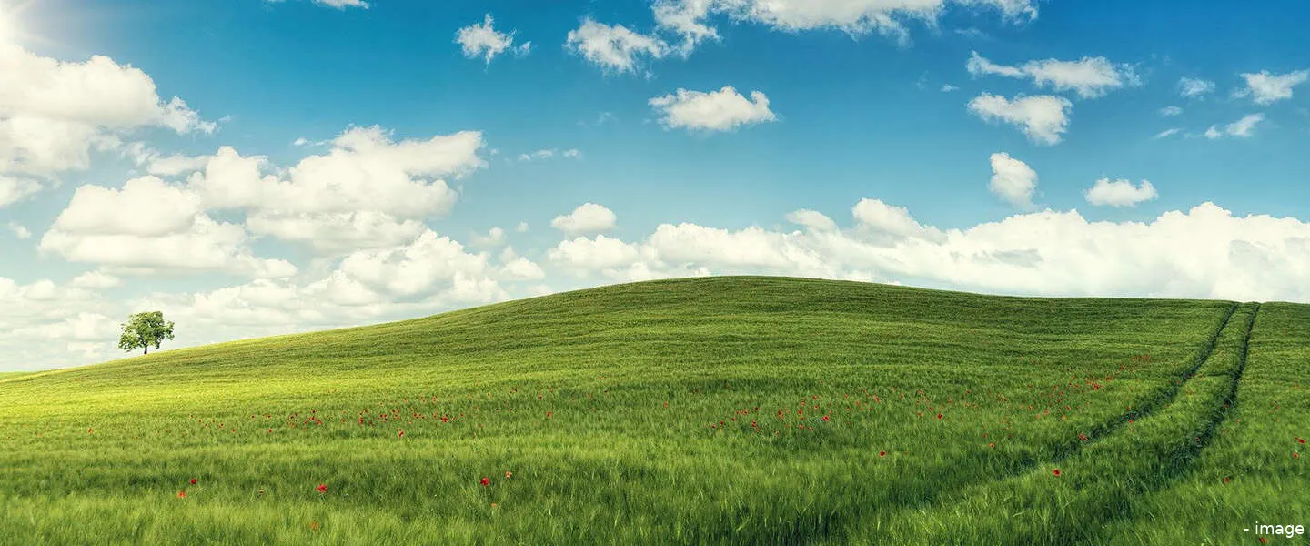 microsoftbesturingssysteem