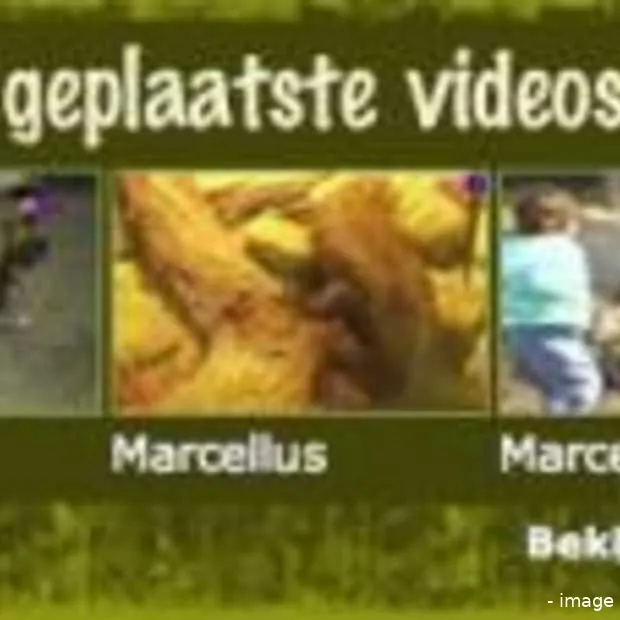 mijnzoo nl nieuwe community bij ad