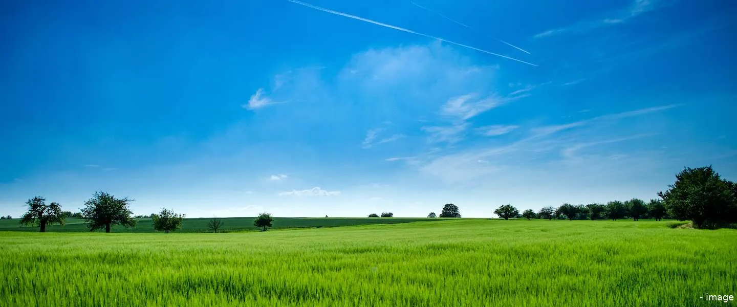 mobiel internet nederland snelheid 5g