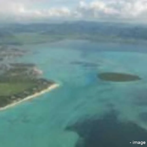 mobiele live search krijgt bird eye