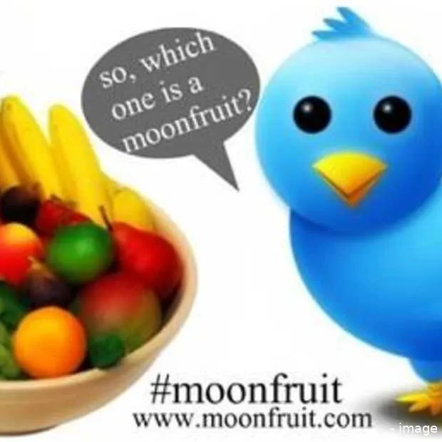 moonfruit twitterlesje voor marketeers