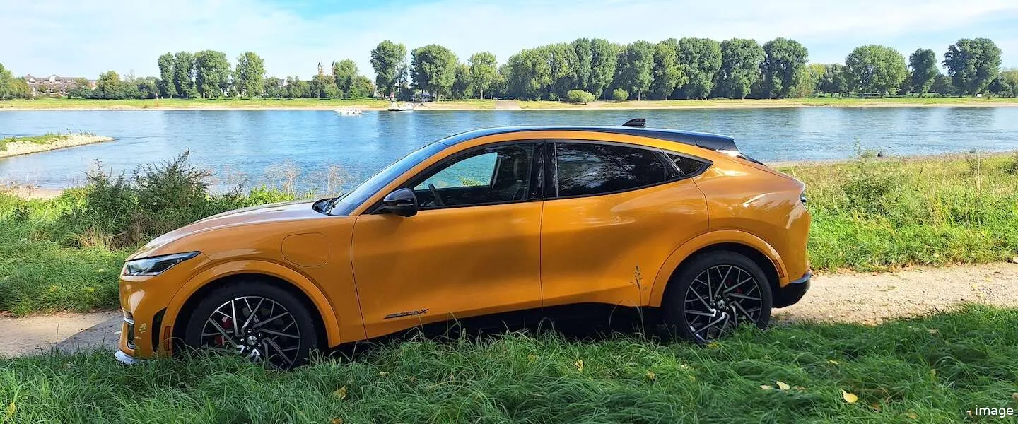 mustang mache header