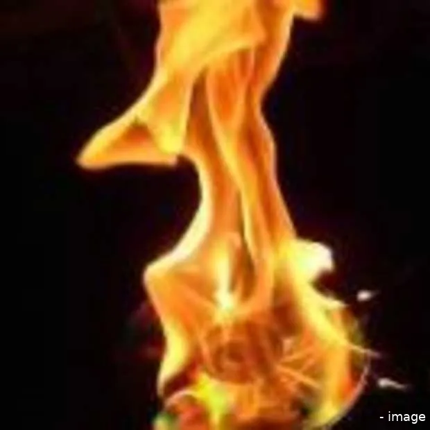 muziek downloaden is goed voor milieu