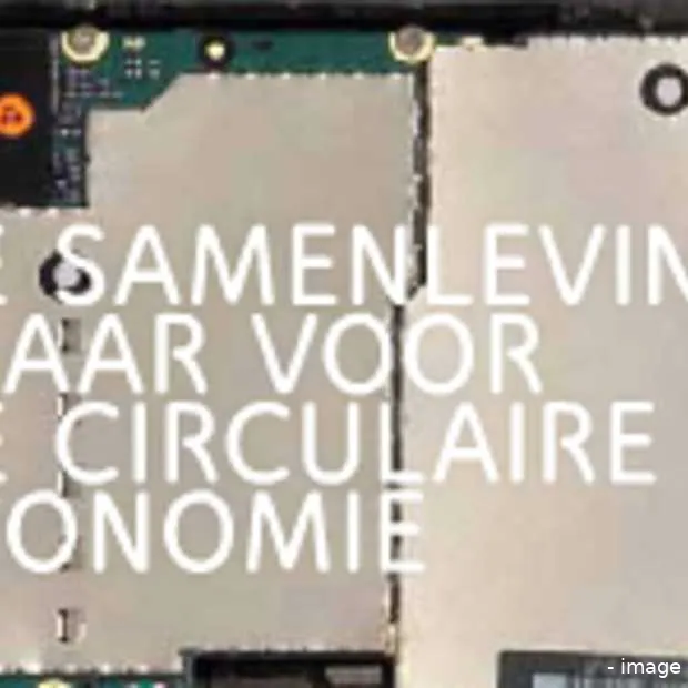 mvo nederland de trends voor 2013