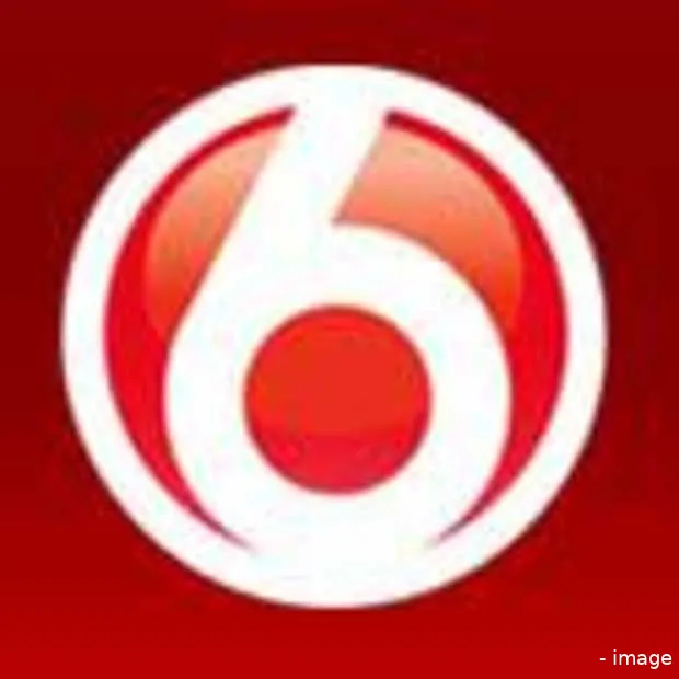 myvideo nl van sbs6 naar 40 marktaandeel