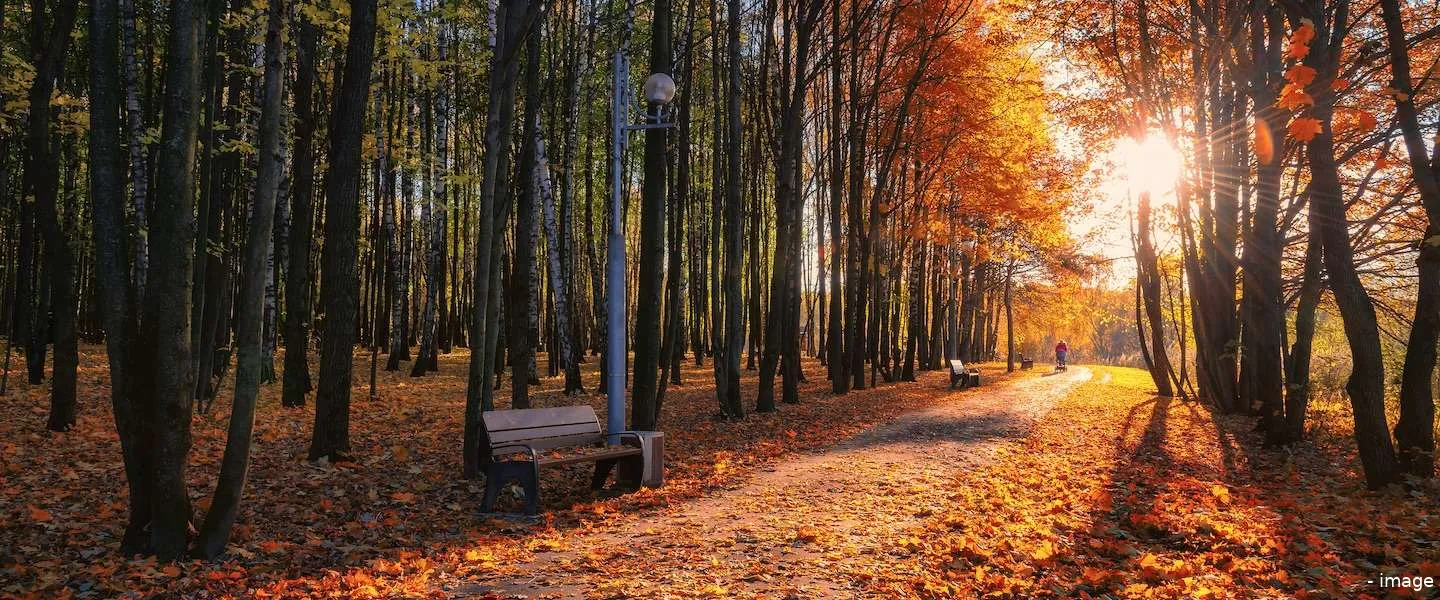 natuurmonumenten live facebook