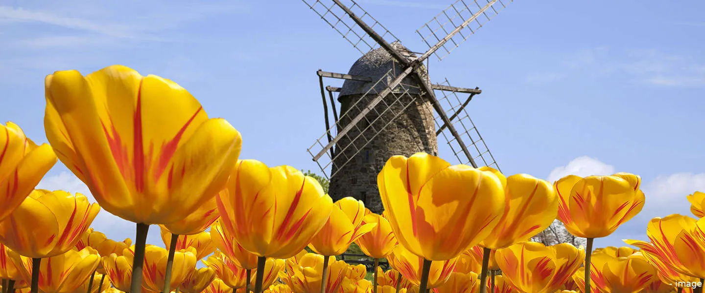 nederland ander van duin