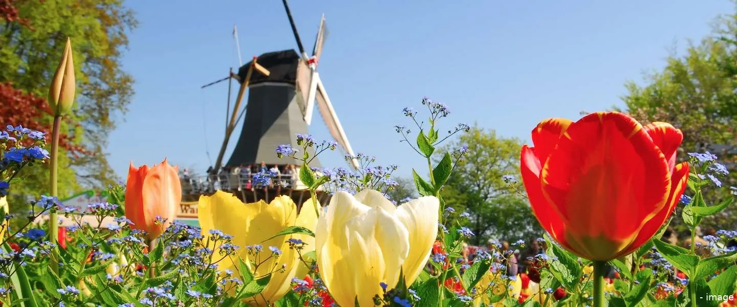 nederland land toekomst