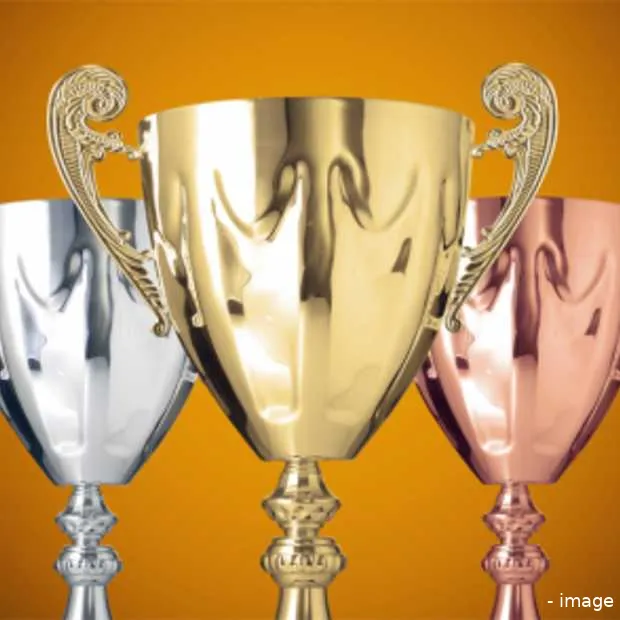 nederlander is cio des jahres