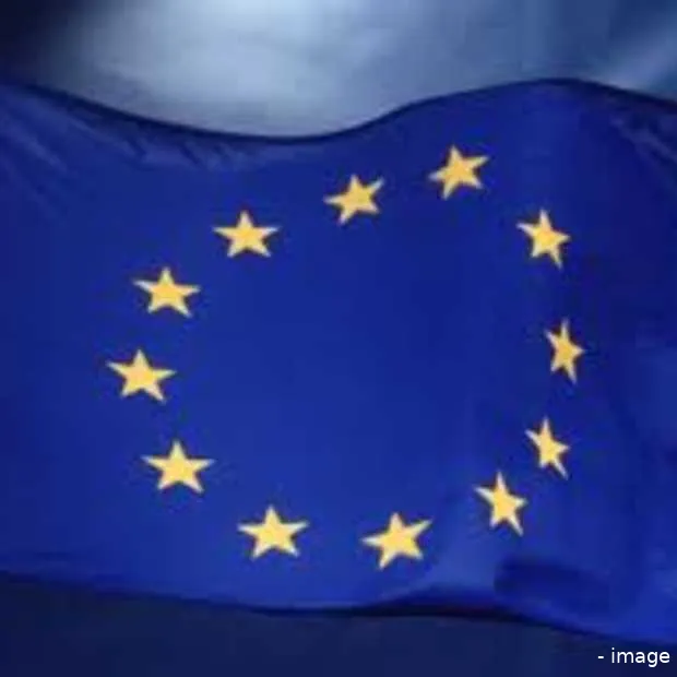 nederlanders en zweden hebben binnen de