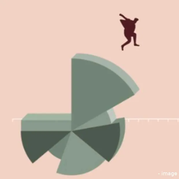 nederlandse infographic platformer metri