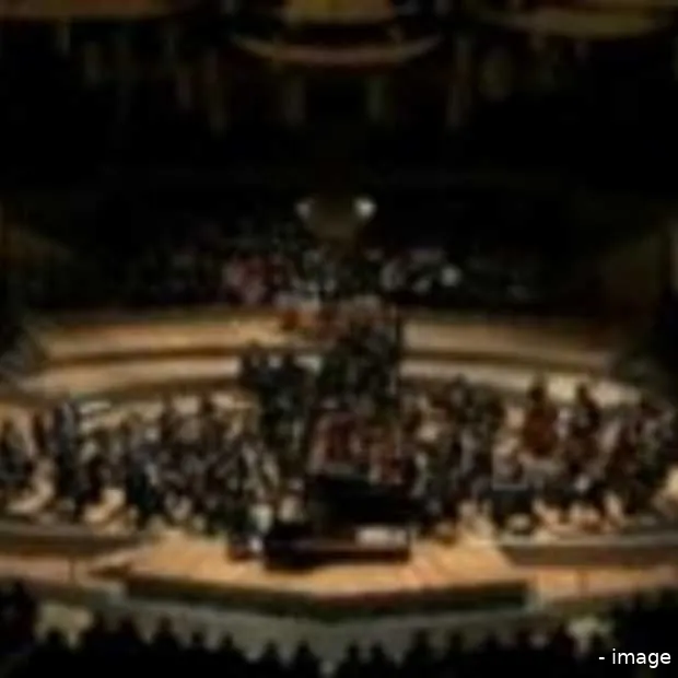 nederlandse musici bij finalisten youtub