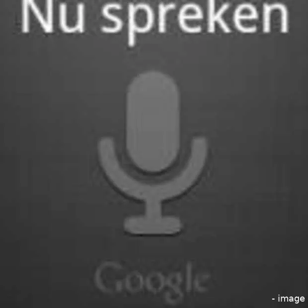 nederlandse versie voice search nu besch