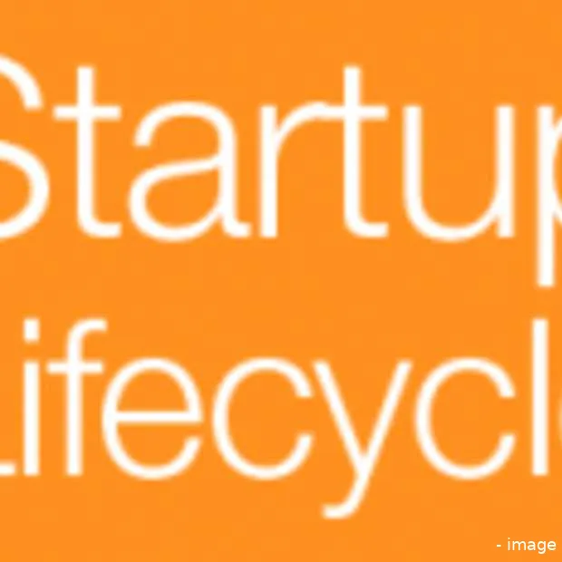 niet alle startups redden het infographi