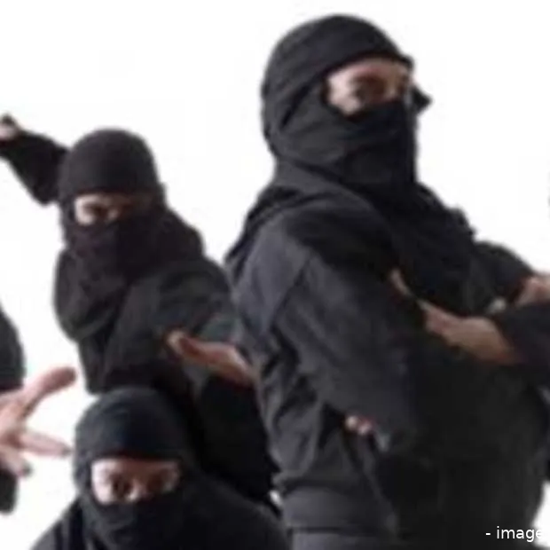 ninja s nemen linkedin over