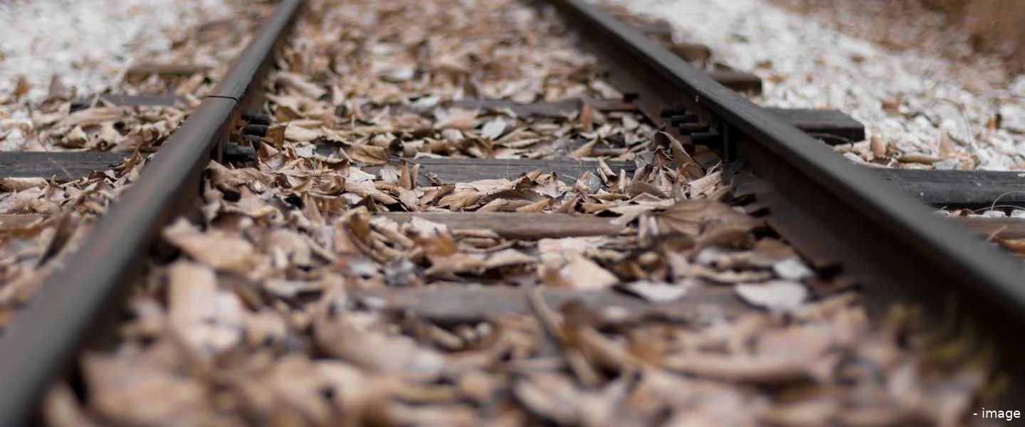 ns bladeren probleem