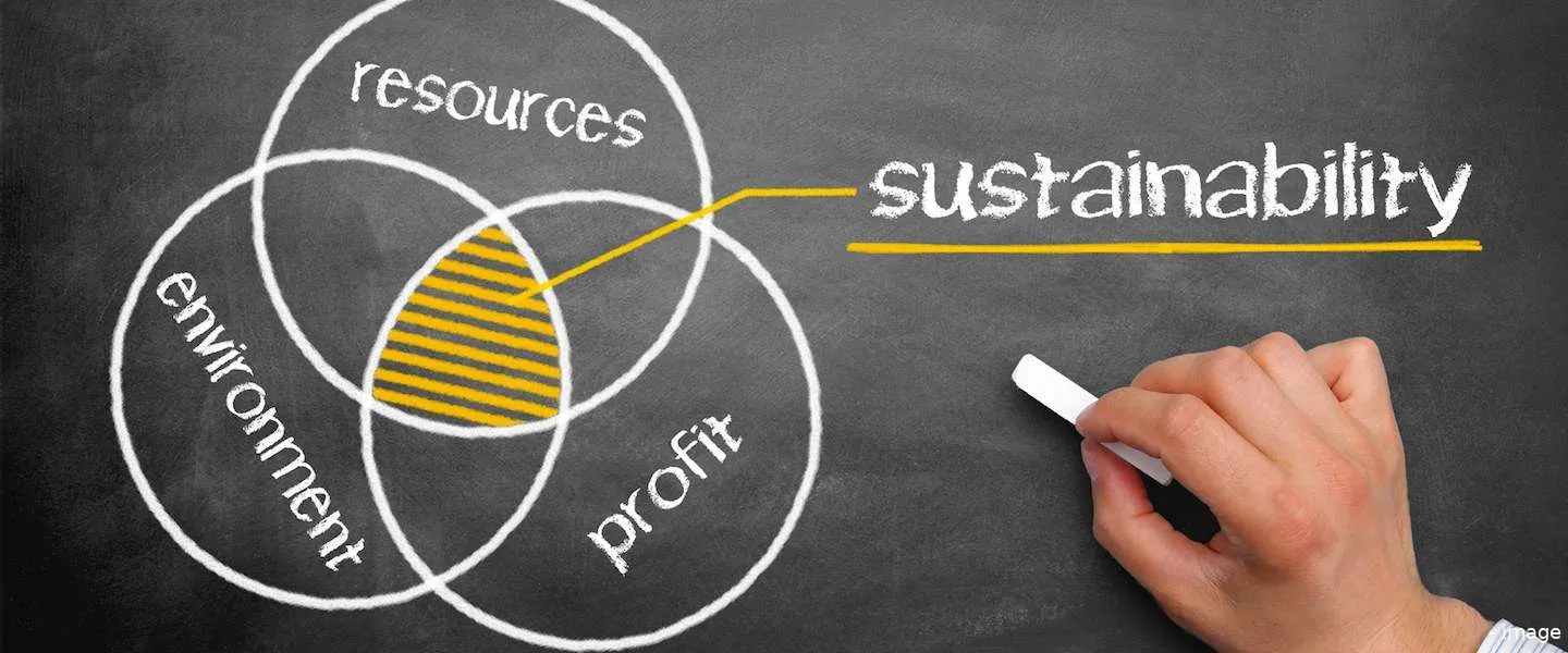 nudge sustainability 2014