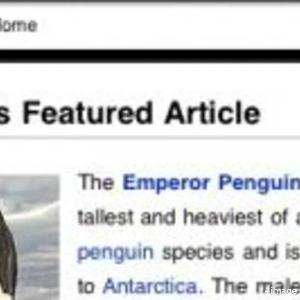 officiele wikipedia iphone app