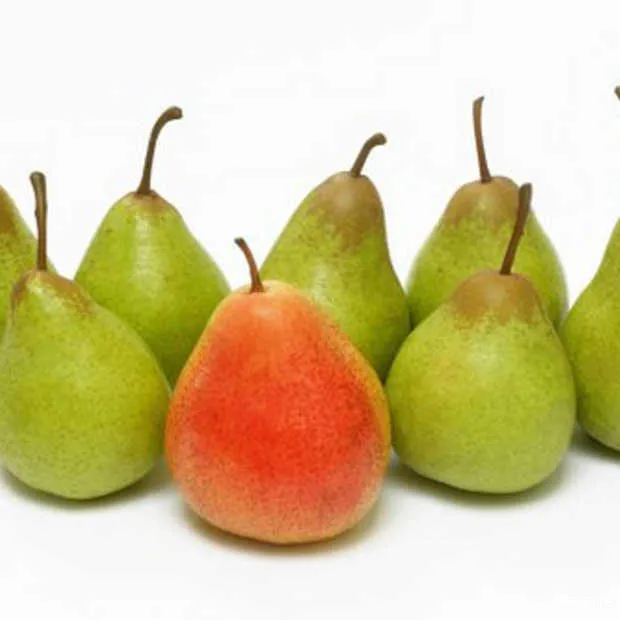 onderscheid zit in een klein hoekje