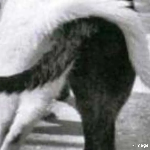 onderzoek file sharing is hits sharing