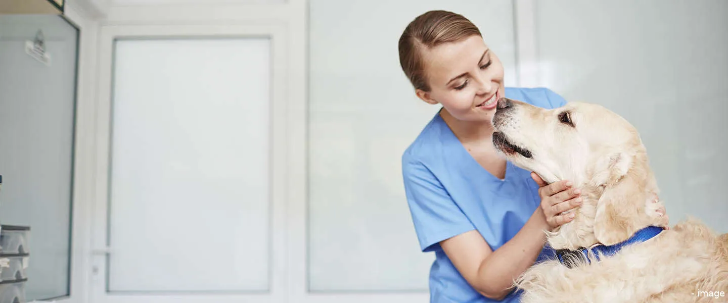 online huisdier zorg