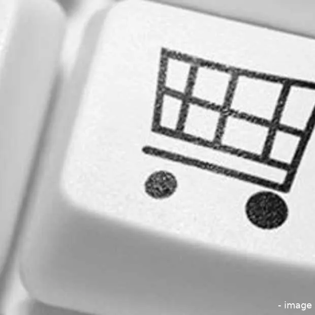 online shoppen vermindert impulsaankopen